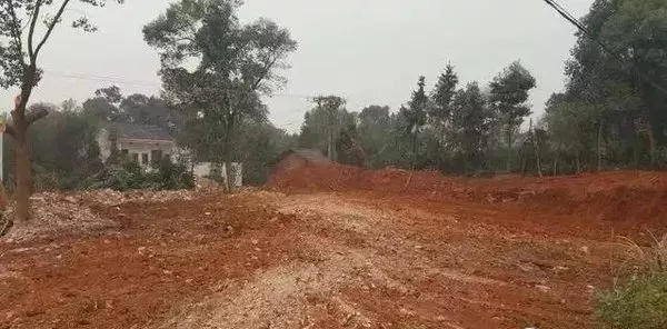 將近九十萬的舊房改造工程，你覺得值嗎?
